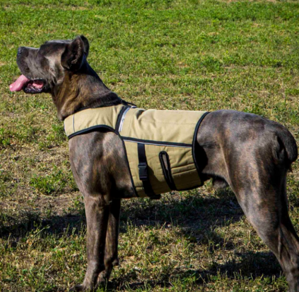 Hundesport Gewichtsgeschirr